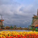Windmills of Zaanse Schans, quiet village in Netherlands, province North Holland.